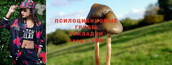 наркотики Белокуриха