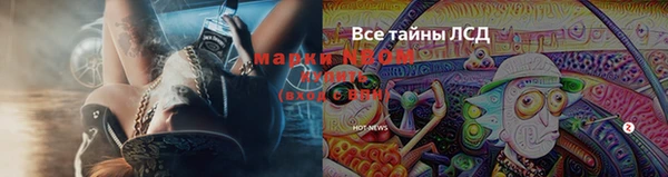 наркотики Белокуриха
